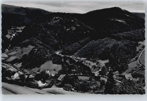 Schenkenzell Vortal