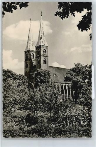 Stendal Dom Baum