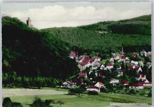 Falkenstein Haus Berg Wald
