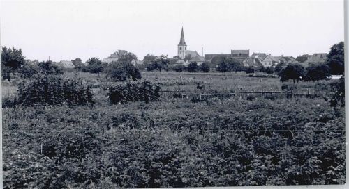 Hofheim Foto