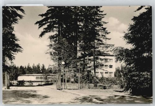 Elbingerode Baum Haus Zaun
