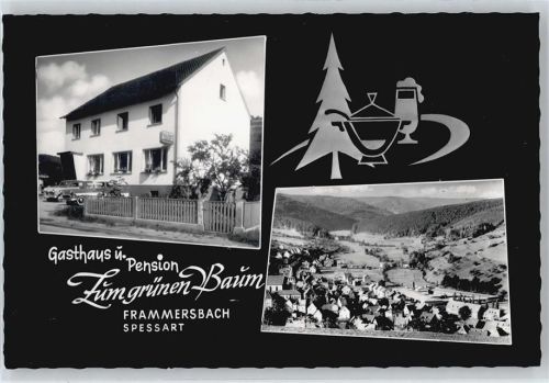 Frammersbach Gasthaus Pension zum grünen Baum