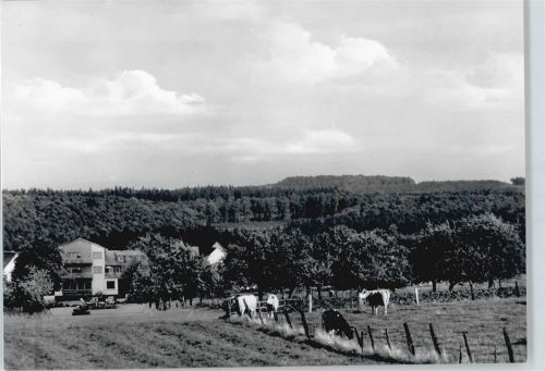 Erbach Pension Schumbert