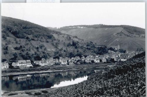 Briedel Foto