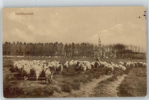 Panorama Kirche Schaf