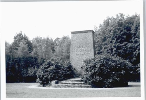 Kaltenkirchen Foto Denkmal Treppe Baum