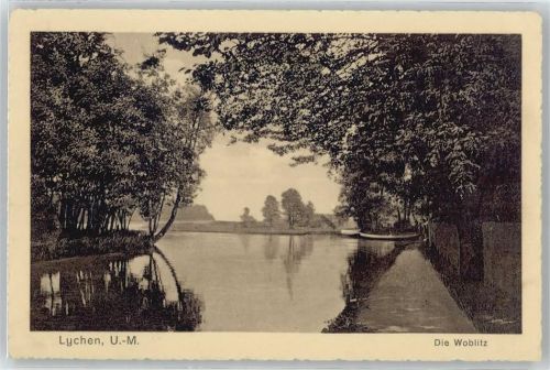 Lychen Fluss Baum Boot