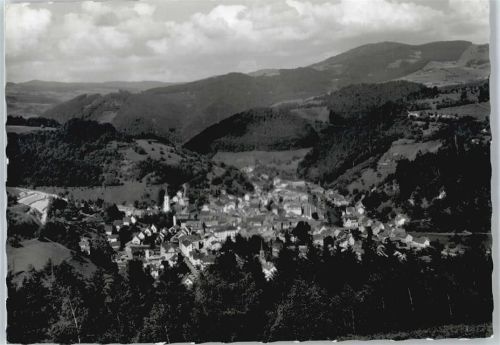 Zell Berg Panorama Gesamtansicht