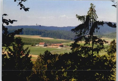 Münsingen Gestüt Lerchenhof