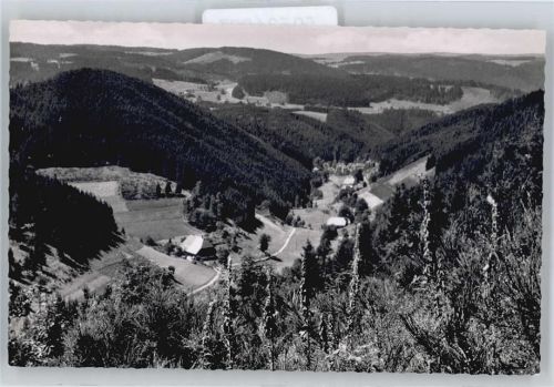 Schonach Nußbachtal