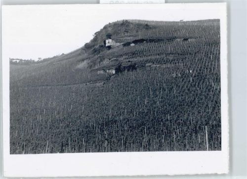 Wehlen, Mosel Weinberge , Foto