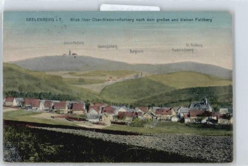 Seelenberg Feldberg, Oberreifenberg, Burgruine