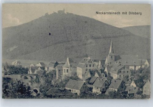 Neckarsteinach Dilsberg