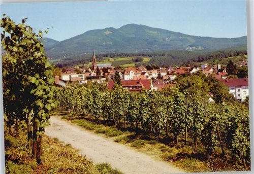 Müllheim Feldweg