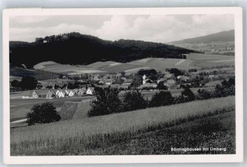 Börninghausen Berg Panorama