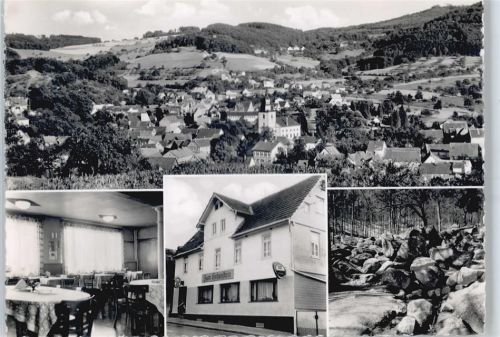 Reichenbach Panorama Berg Gasthaus Pension zum Hohenstein