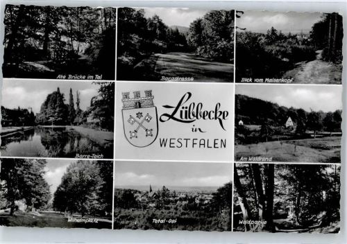 Lübbecke Bergstraße, Blick vom Maisenkopf, Wilhelmplatz, Barre-Teich