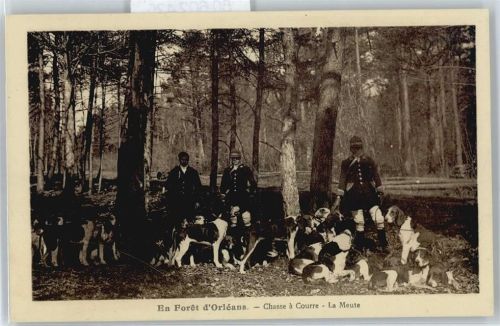 Orleans Jagd, Jagdhund