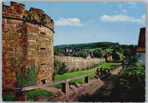 Büdingen Stadtmauer, Untertor