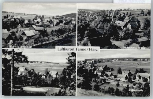 Tanne Blick vom Ziegenkopf, Schwimmbad, Bodetalstraße, Trautensteiner Brücke