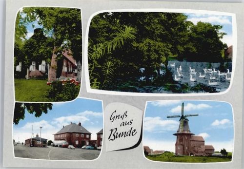 Bunde Windmühle, Schwäne