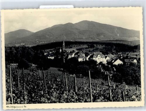 Müllheim Weinberge