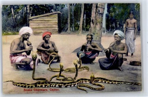 Schlangenbeschwörer, Ceylon