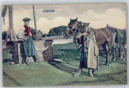 Csikosok