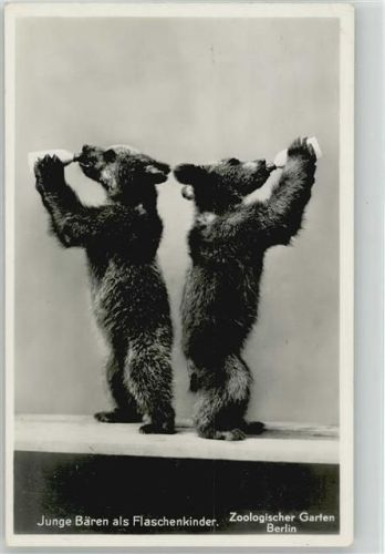 1940 Junge Bären als Flaschenkinder Zoo Berlin Foto AK