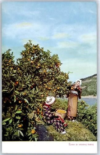 Fruchternte