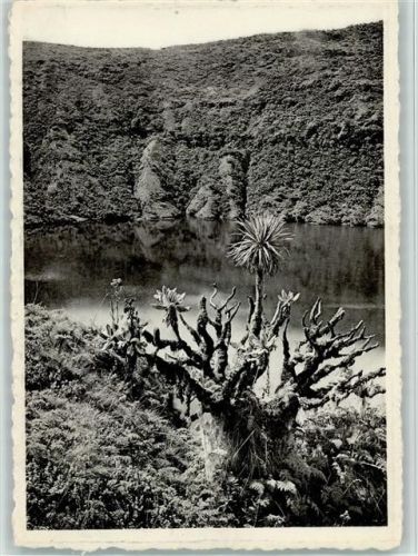 Nationalpark - Visoke-volcano - Old crater and lake