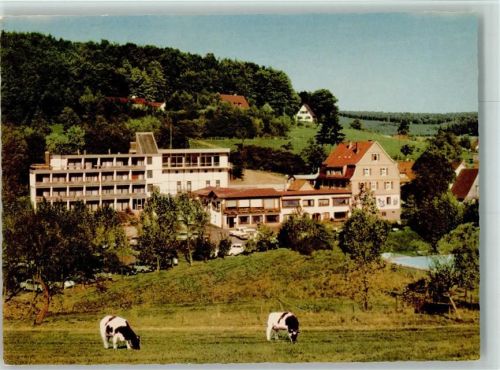 Grasellenbach Hotel Siegfriedsbrunnen Kühe