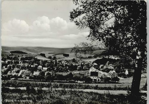 Balve 1960 - 1970 Blick vom Kreuzwerg