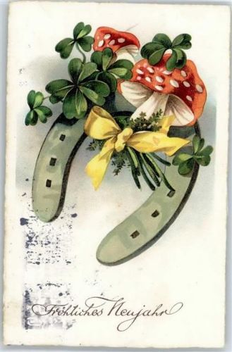 Fliegenpilz , Neujahr