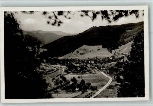 Schenkenzell Blick auf Schenkenzell