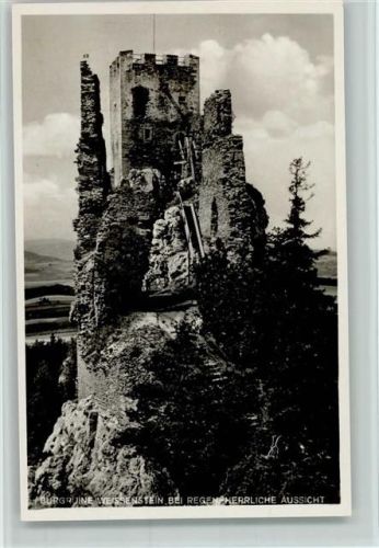 Regen Burgruine Weissenstein