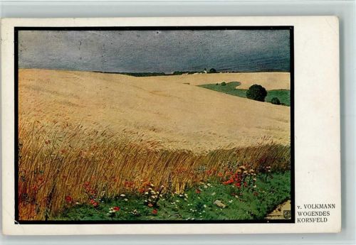 1915 Volkmann - Wogendes Kornfeld AK