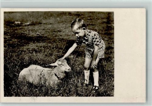 Kind streichelt Schaf