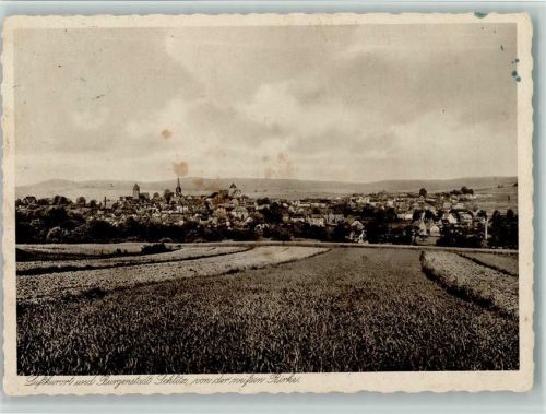 Schlitz Ortsansicht von der weißen Birke