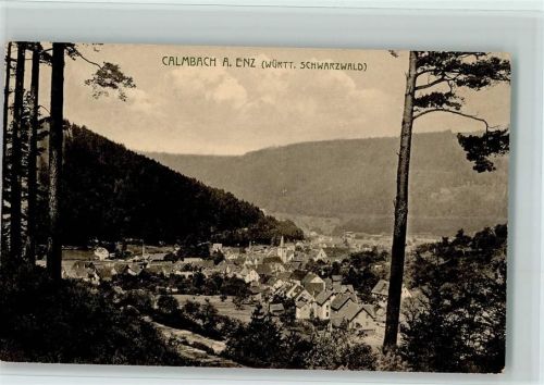 Calmbach Gesamtansicht