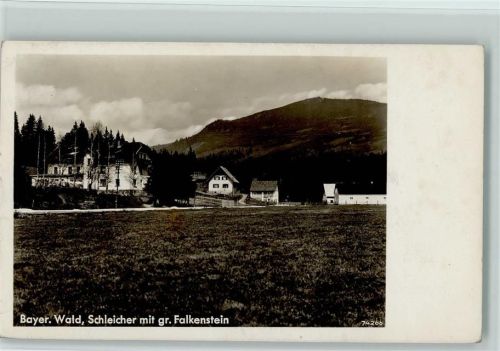94227 W8372 Zwiesel - Schleicher mit gr. Falkenstein