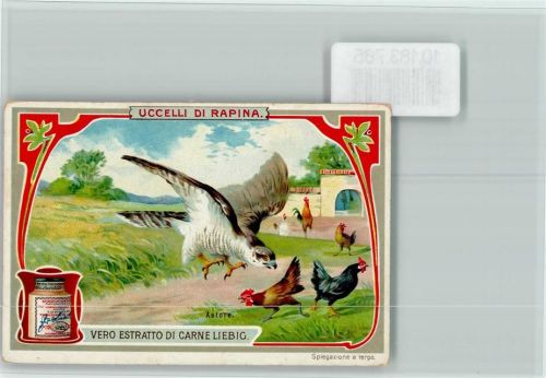 Falke holt sich ein Huhn, Sammelbild Liebig Raubvogel