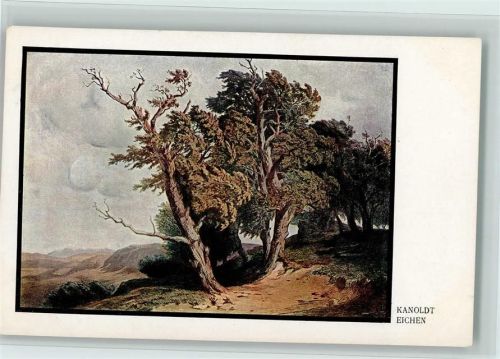 1911 Nr. 52 - sign Kanoldt - Bäume , Eichen