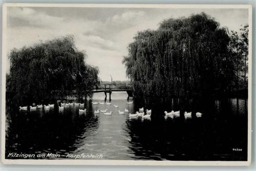 Kitzingen Karpfenteich Enten