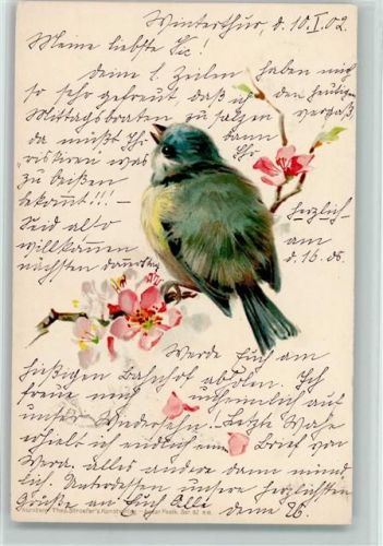 1902 Ströfer Verlag - Meise AK