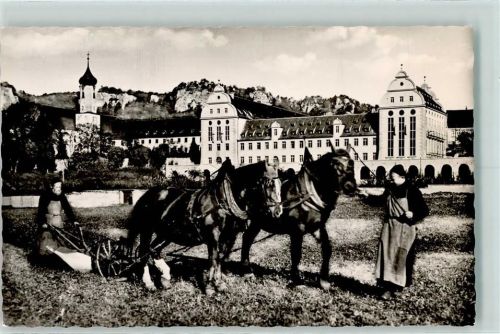 Beuron Erzabtei Beuron Klosterbrüder Pferdepflug