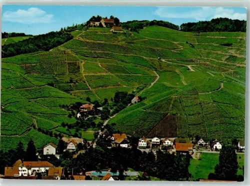 Durbach Weinberge