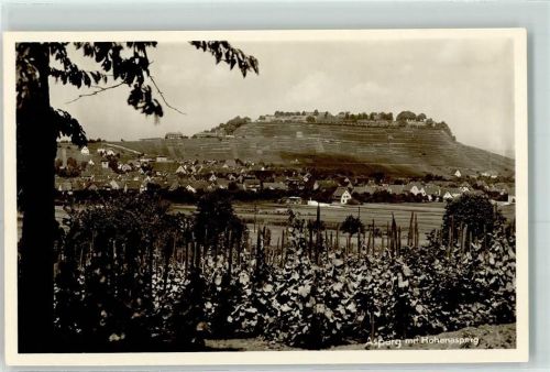 Asperg Rückseite mit Abschürfungen und Kleberesten Hohenasperg Weinberge