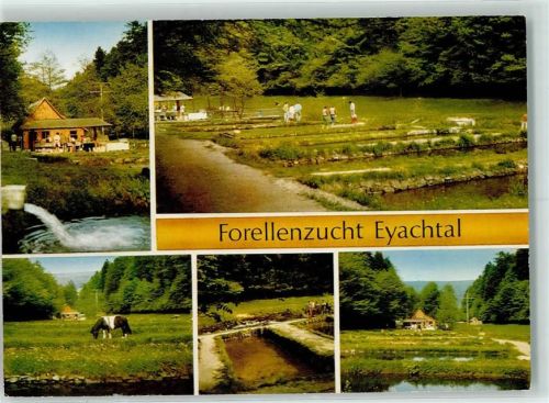 Neuenbürg Forellenzucht Eyachtal Forellenzuchtbecken