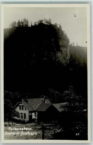 Tambach-Dietharz Falkenstein Photo